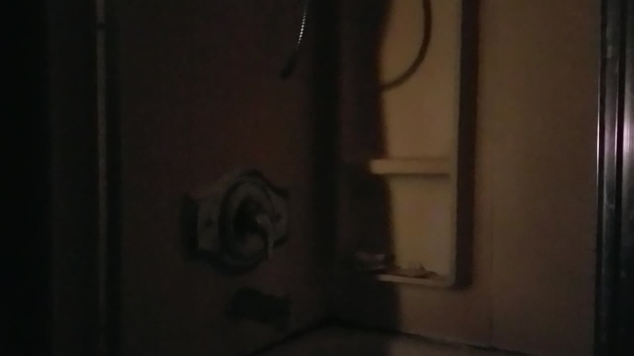 More Barking Puppies and Raging Predvidians 🤣😂