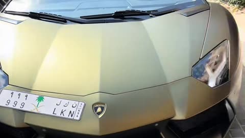 🚀💨 This Ferrari 812 Superfast is STUNNING! | LuxurySportsCars