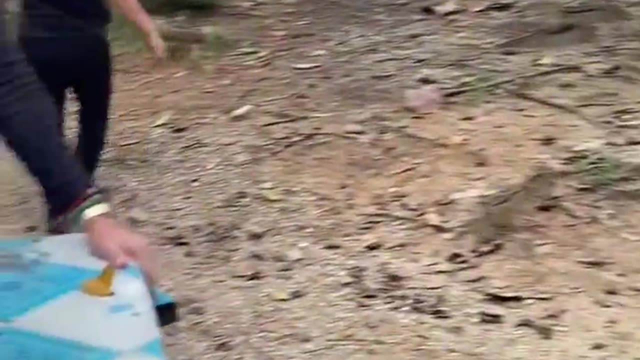 😮🌳 Trees Shaking During Earthquake! | FeedMyCuriosity