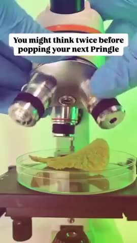 Pringles Are ALIVE Under a Microscope