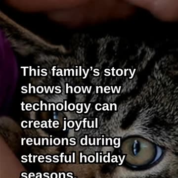 AI Reunites Woman with Cat