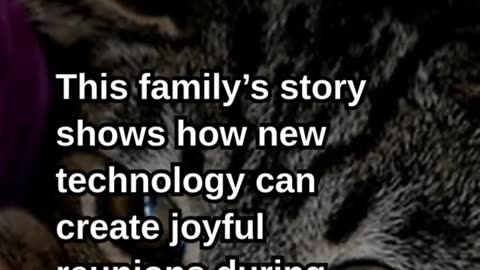 AI Reunites Woman with Cat