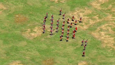 LEAKED FOOTAGE MEDIEVAL MILITARY PARADE