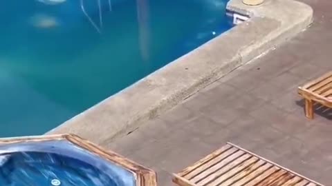 I also want to sunbathe, move aside