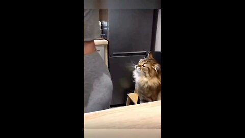 follow for more funny 🤣 videos..