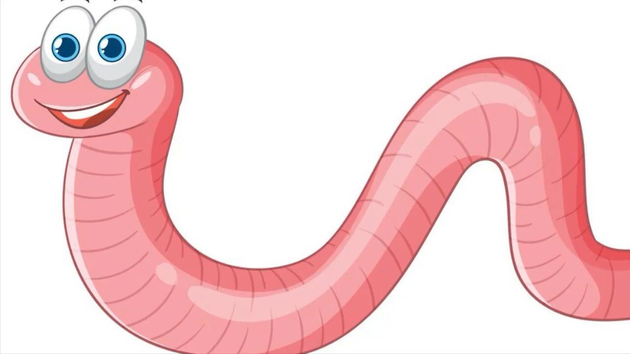 My worm composting journey