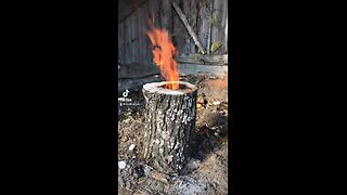 Firewood Log Into A Planter