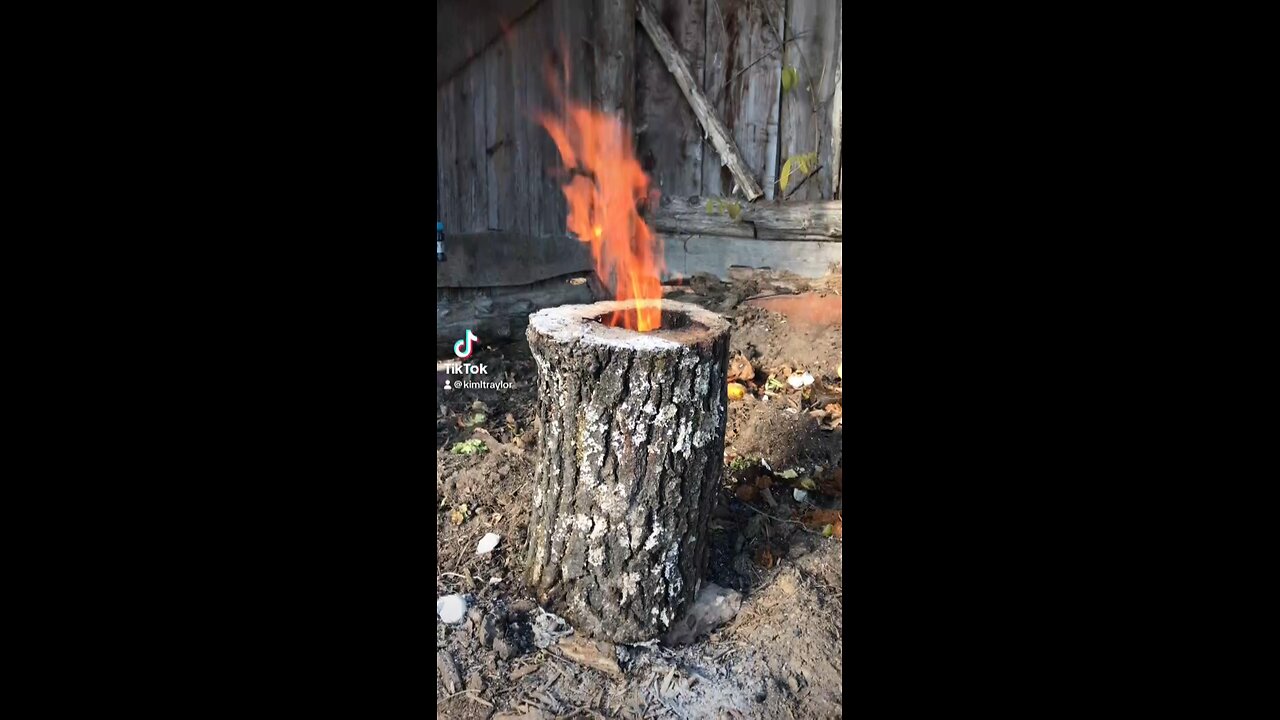 Firewood Log Into A Planter