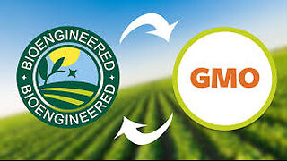 Campbell's Soup Exec Slams Products: "Unhealthy Bioengineered Food"