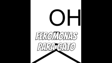 feromonas-en-gatos