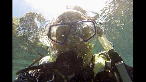 Scuba Diving the Miss Louise