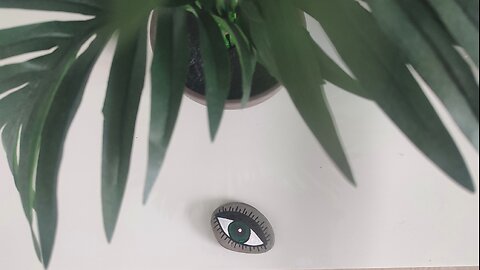 Green eyes- Handmade pebbles, Home decors, handmade