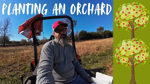 Planting an Orchard