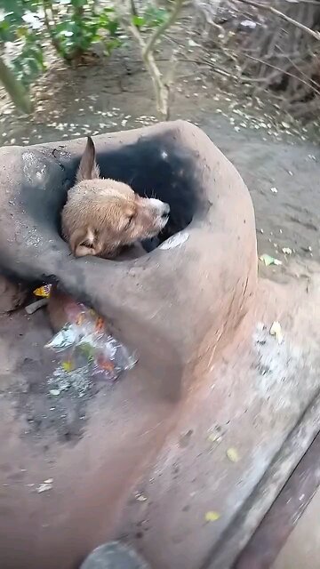 instagram_1767092106486