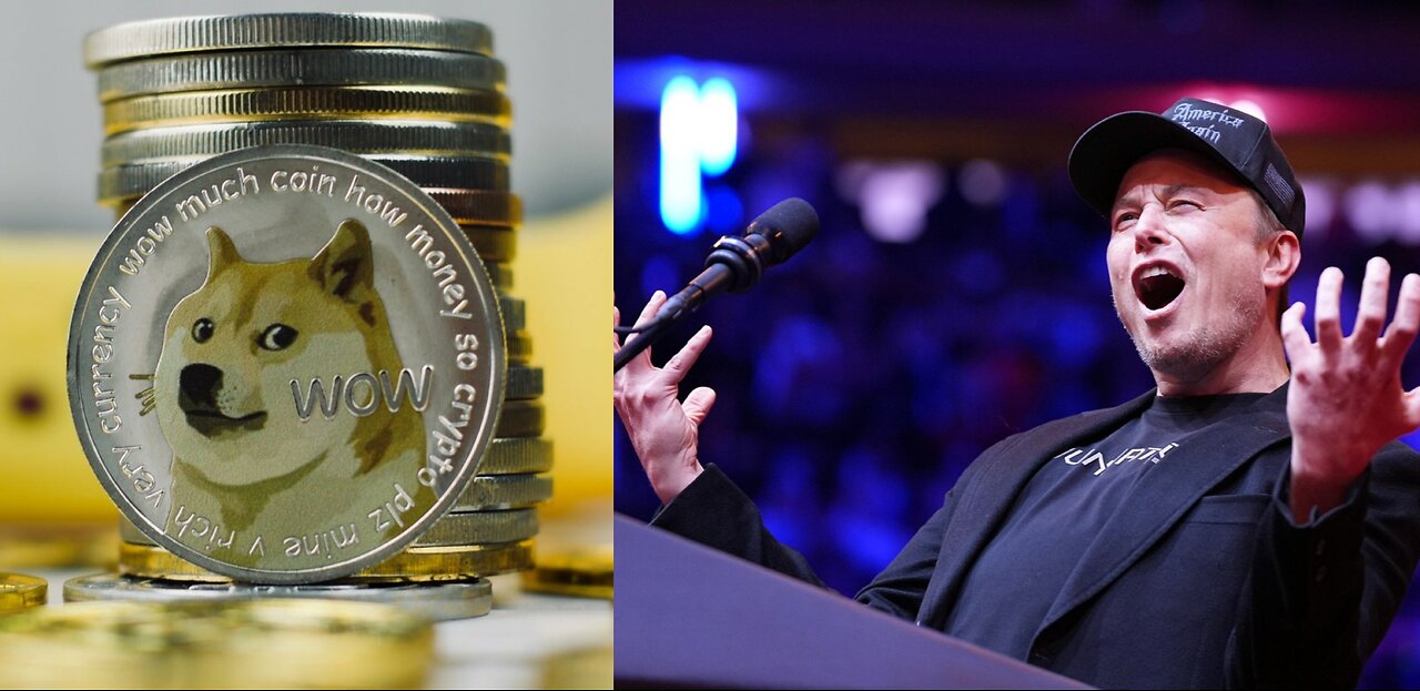 Elon Musk Expresses Interest In Sending Out $5000 DOGE Stimulus Checks To Americans