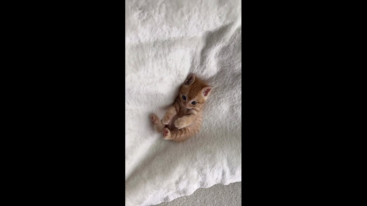 How can i explain more love? 🤗