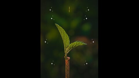 Surah baqarah ayat 6-10 #islam #viralvideos #islamicreminders #prophetmuhammadsaw #hadeesenabvi