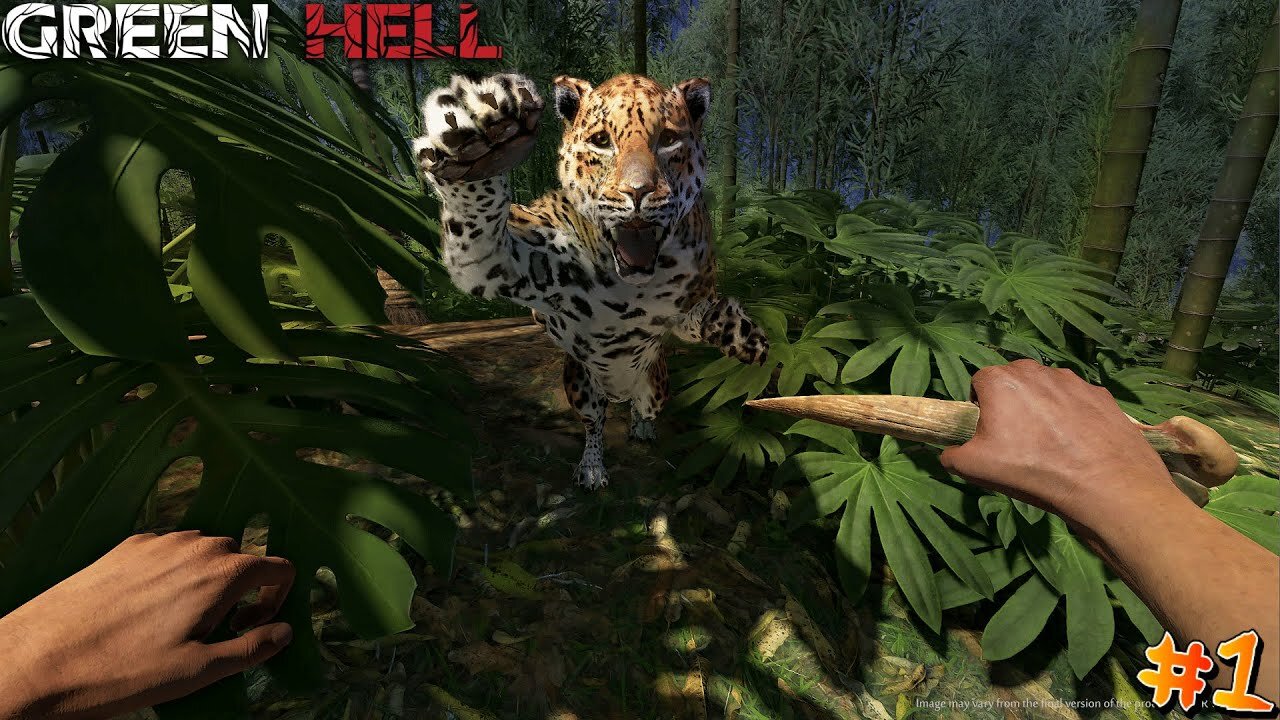 Can I Survive One Day in the Amazon_ _ Green Hell