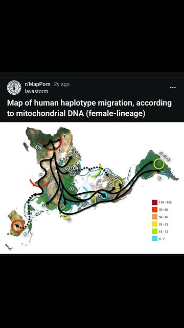 See the pattern? Even the birds fly south during winter up north