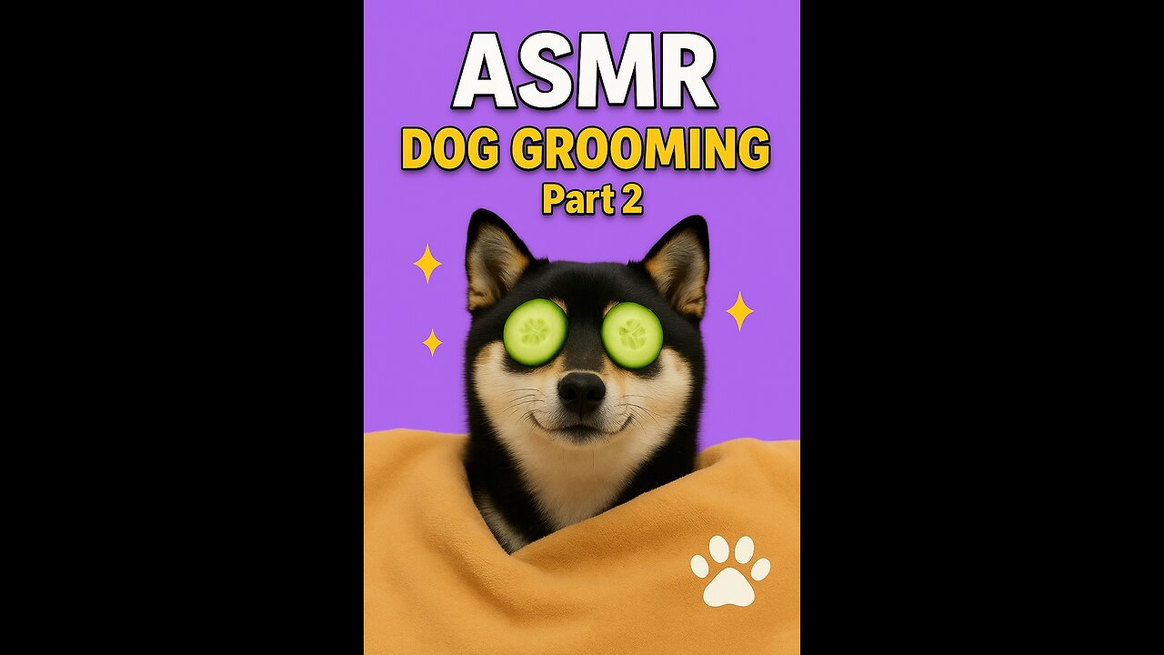 ASMR Grooming🐾 part 2 the most soothing ultimate relaxation session you’ve seen. #dogspa