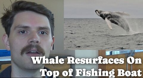 Whale Resurfaces On Top Of Fishing Boat