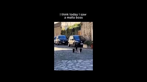 “When Life Gives You Funny Mood | Ultimate Meme Shorts” #FunnyMemes #MemeShorts #ViralVideo #Canada