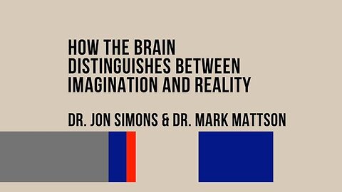 HOW THE BRAIN DISTINGUISHES BETWEEN IMAGINATION & REALITY | DR. JON SIMONS & DR. MARK MATTSON