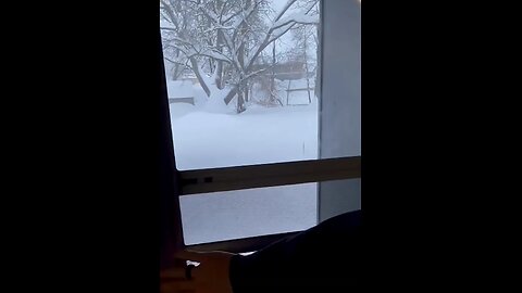 🔥 Epic Dog vs. Snow Moment!