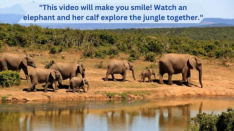 Elephants are amazing creatures!, Cute animal