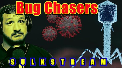 Sulk Stream #506 Bug Chasers