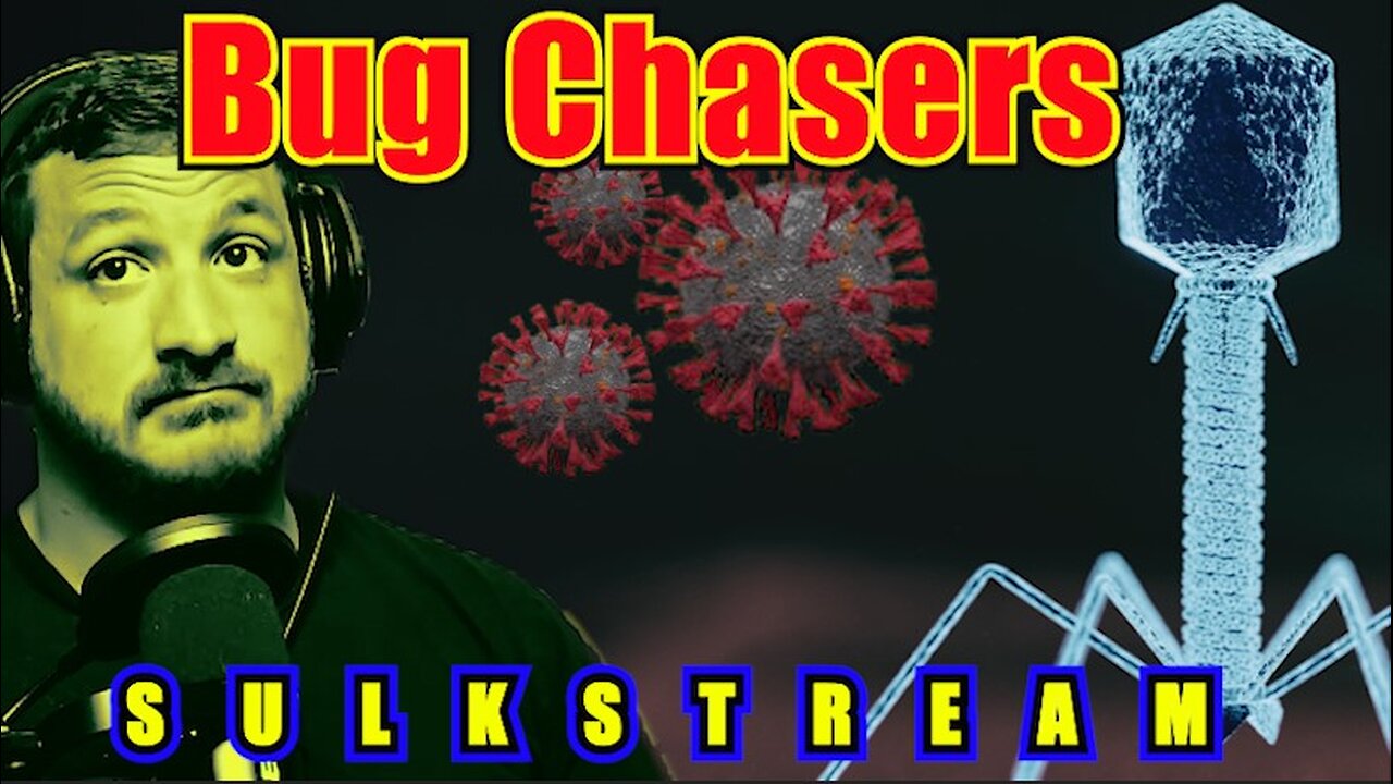 Sulk Stream #506 Bug Chasers