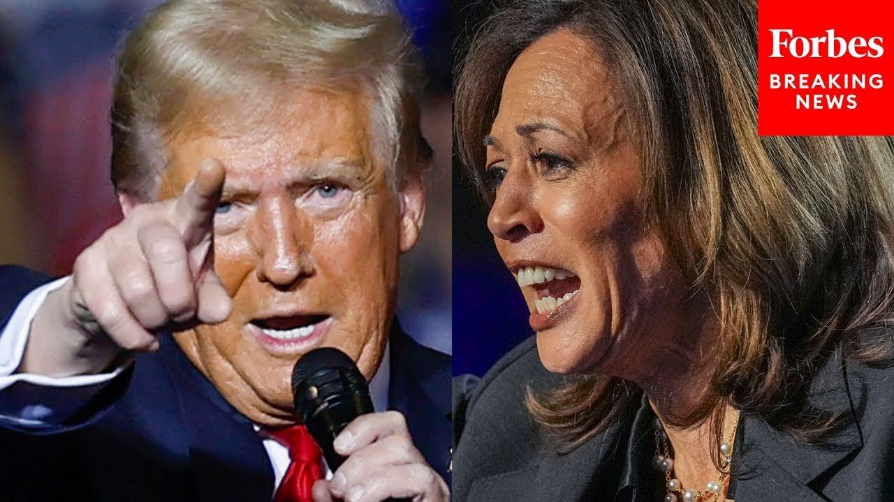 'Just Google Project 2025': Kamala Harris Warns Voters Not To Back Trump | 2024 Rewind