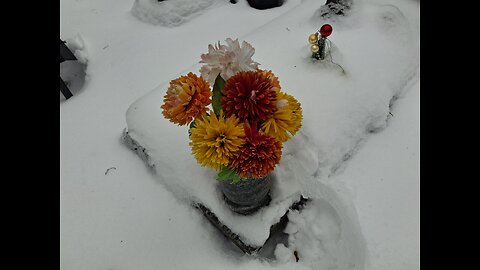 Colette's Dauphinoise (Flourless Recipe)