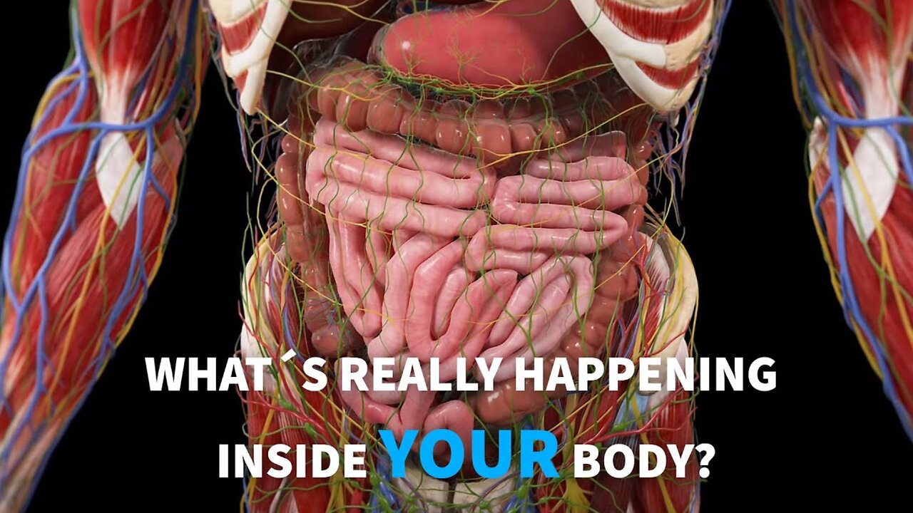 Amazing Body Rhythms | Peristalsis, Breathing & Heartbeat Explained