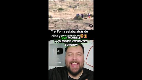 Esperaban fotografiar un puma y el puma ya estaba atrás de ellos 😨