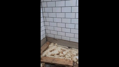 Shower update