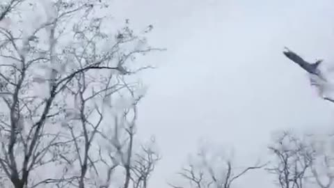 ⚡✈️ Ukraine Russia War | Russian SU-25 Jets Flying Low and Fast | RCF