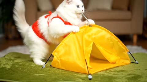 “Cute Cat Goes on a Picnic | Feline Picnic Adventure 🧺🐱”