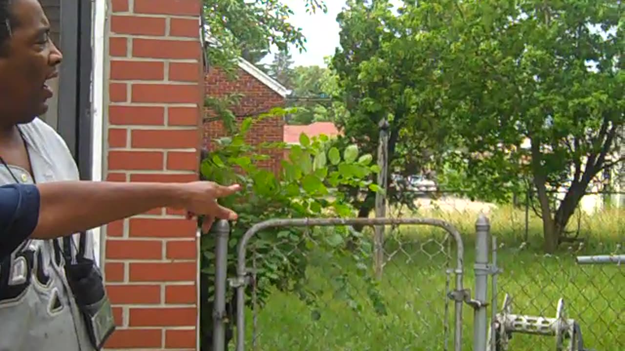 Part 2 on fleming st and talking to neigbor, enjoy the shea show
