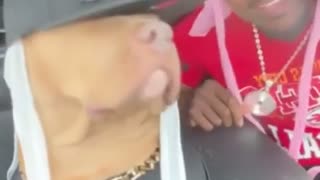 🐶😂 Bro and His Dogs Vibe Out in the Funniest Way! | FunFM