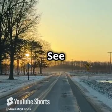 DIY PVC Projects to Transform Your Garden