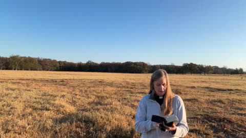 Morning Prayer, Daily Office