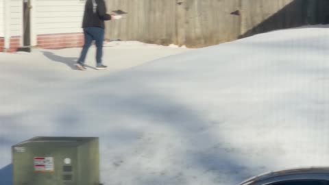 Neighbor Struggles To Walk Pizza Up Icy Driveway