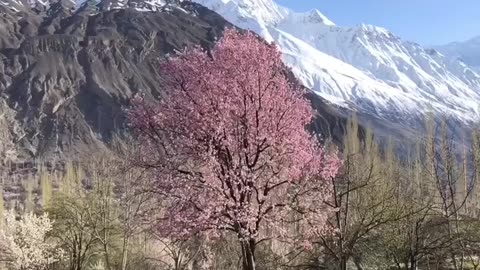 AMAZING View just Say MashALLAH 😍| Nature lovers