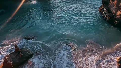 Isa Knox ANEW Solaire Active Face & Body Protection Lotion Broad Spectrum SPF 50