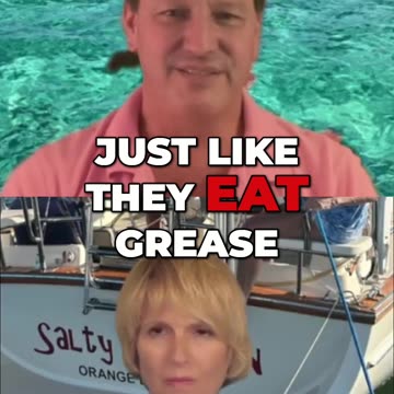 🤫💙 What’s the Best Way to Understand Your Diesel Engine on Your Sailboat? ⛵️