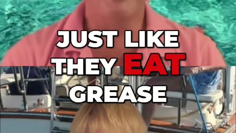 🤫💙 What’s the Best Way to Understand Your Diesel Engine on Your Sailboat? ⛵️
