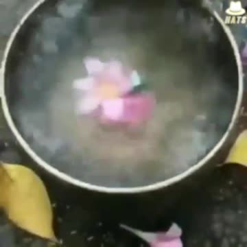 Everything is frequency and when we tap into it correctly we can create energy.