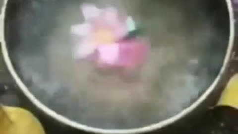 Everything is frequency and when we tap into it correctly we can create energy.