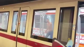 Rome is a jungle without rules.